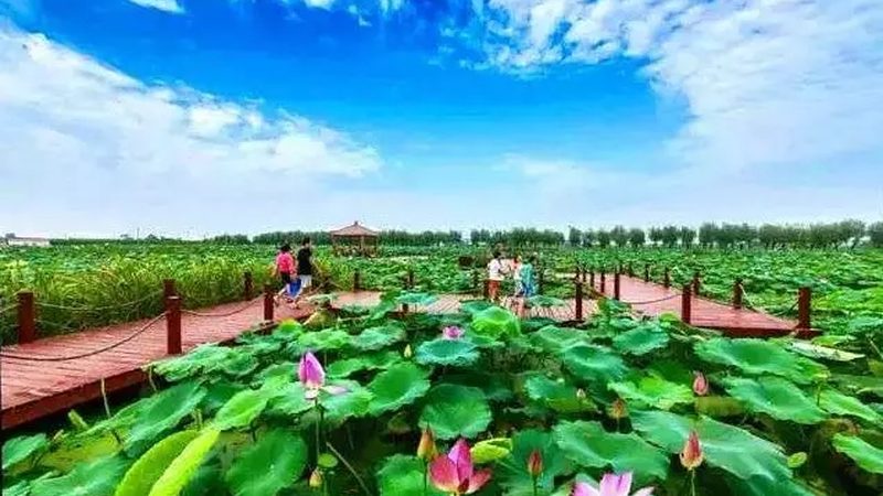 农业产业园盈利模式解析：策略与实操**