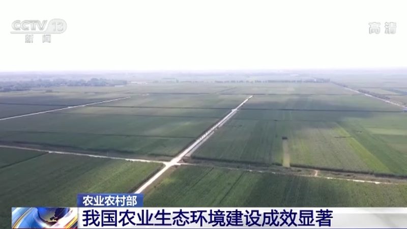 蓝莓水肥一体化：现代农业的精准滴灌之道