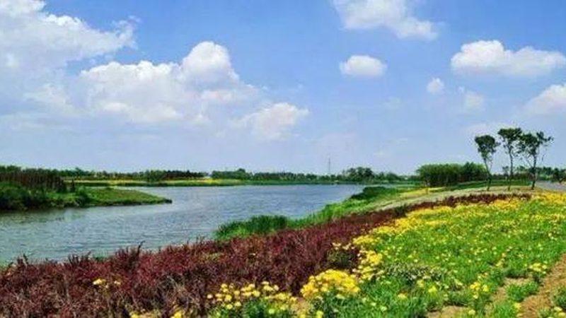 休闲农业加盟，如何打造成功案例？**