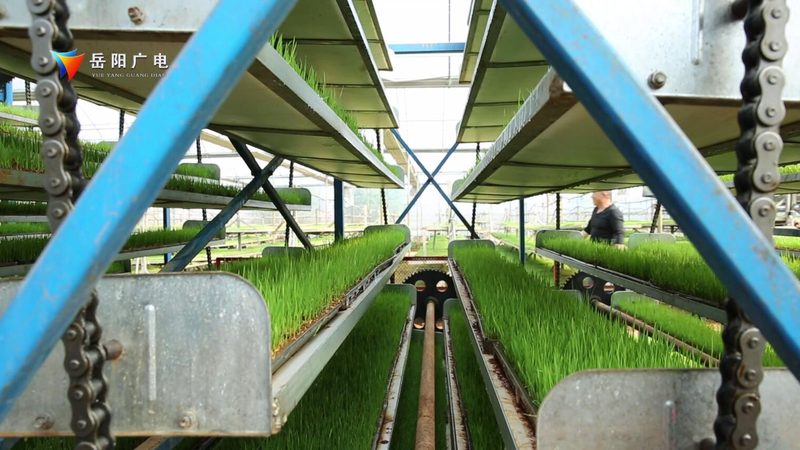 云南农业种植技术培训学校学制解析