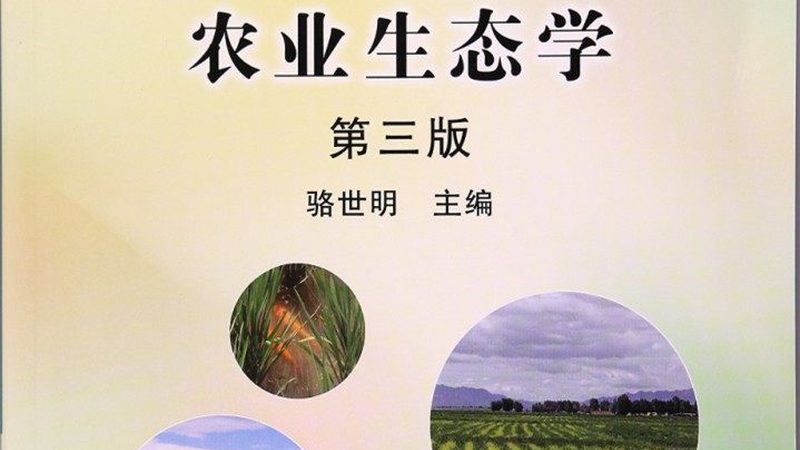 蔬菜大棚：8米与12米规格的选型考量