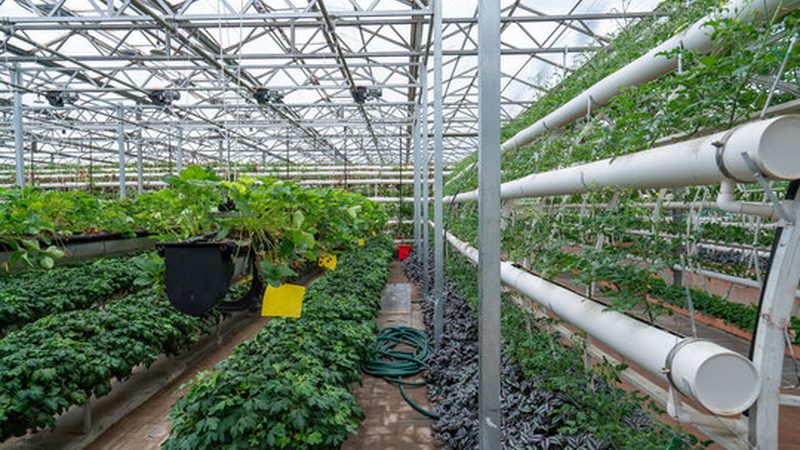 小型农业种植机械：如何选择最适合的型号