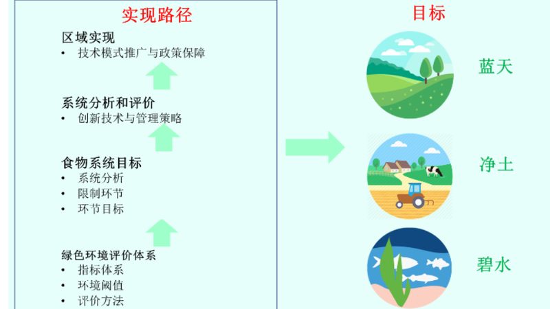 合作社分红税务处理全解析