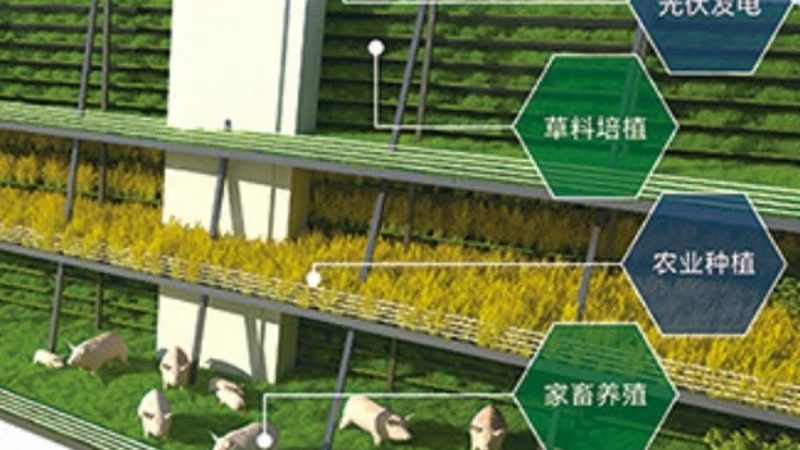 无土栽培水果设备：揭秘十大品牌背后的技术秘密