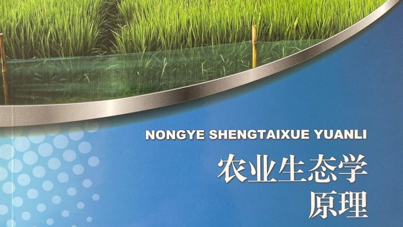 阳台水果种植，肥料选择有讲究**