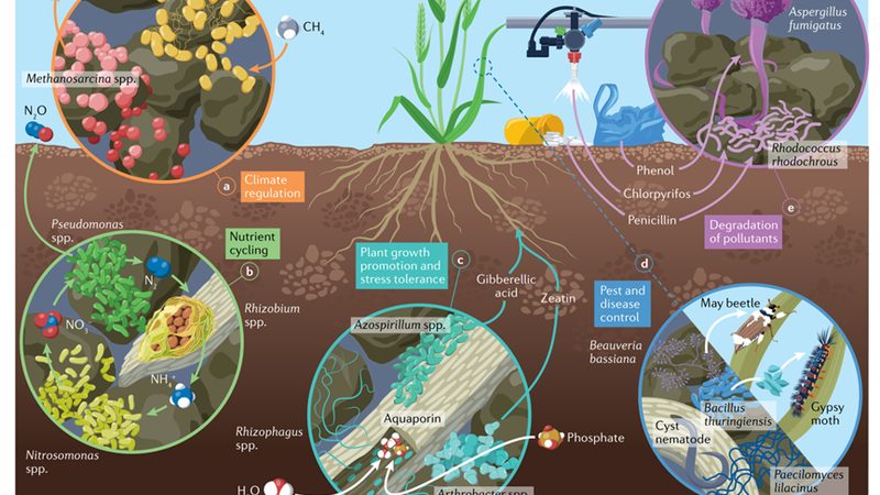 怀远县园种植专业合作社