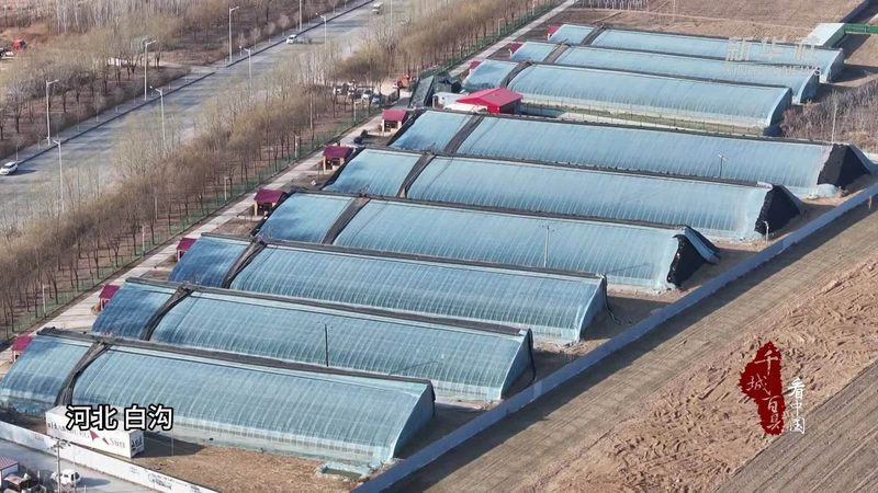 智慧农业助力小型农场：如何选择合适的适用方案