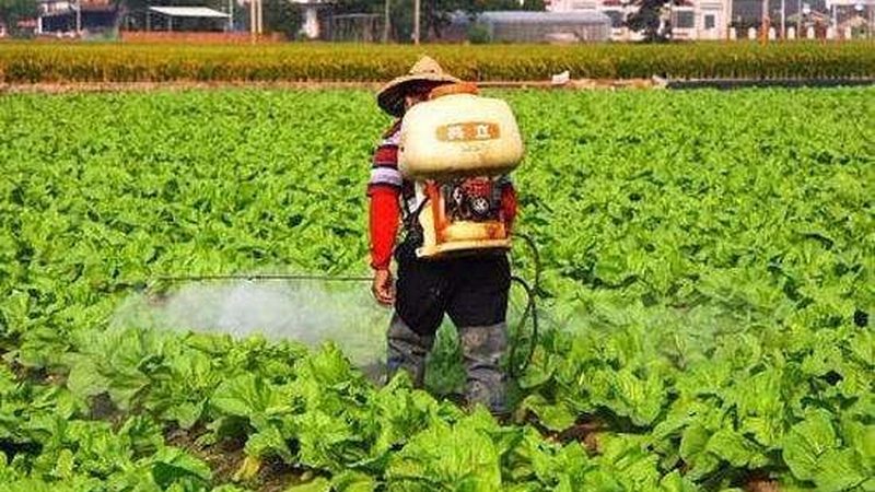 食材配送投标书商务标部分：关键要素与策略