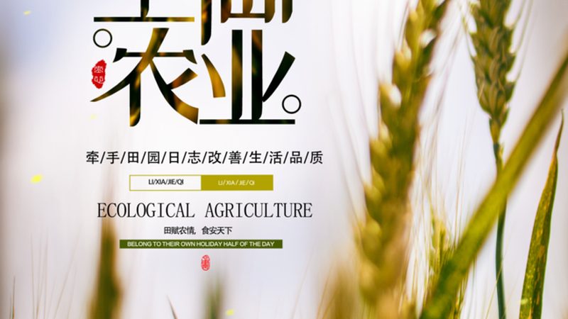 绿色食品与无公害食品：标准差异及选购要点